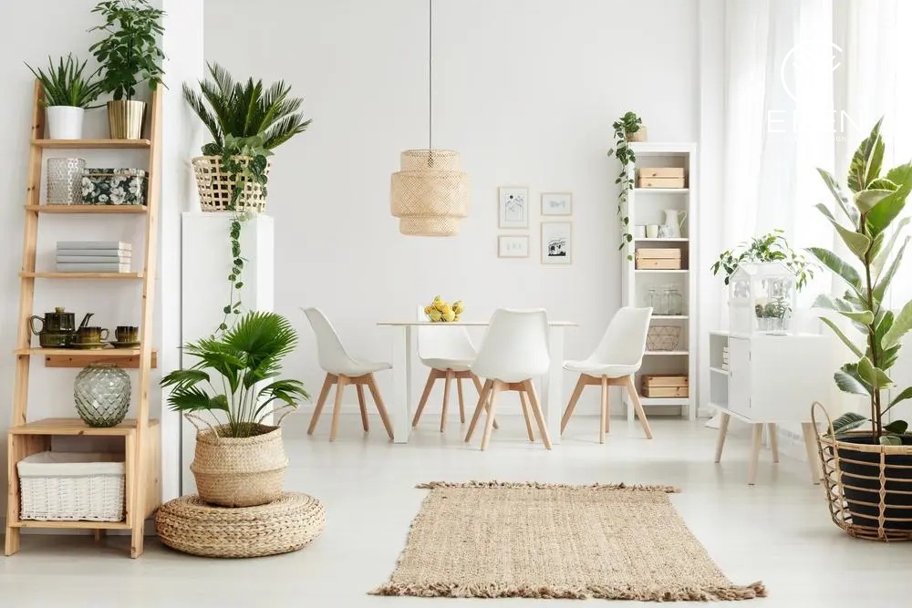 trang trí cây cảnh trong phòng khách